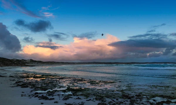 Isla Kanguru Hora Azul — Foto de Stock