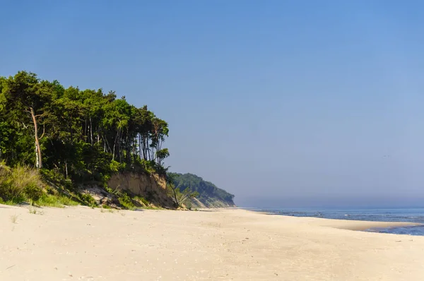 Plaża Scena Naturalna Woda — Zdjęcie stockowe