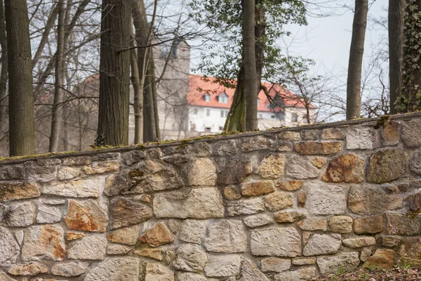 城公園の壁 Ballenstedt Castle — ストック写真