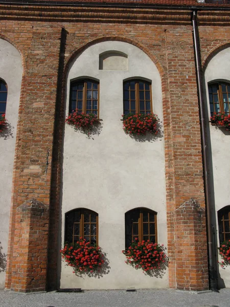 Gamla Väggar Och Pelargoner — Stockfoto