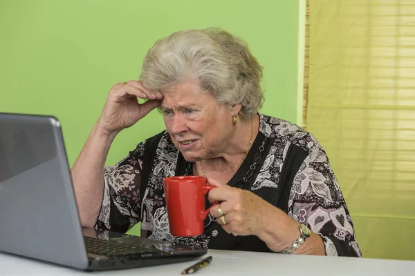 Senior Lady Working Laptop — Stock Photo, Image