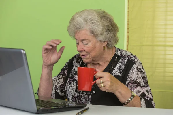 Senior Lady Working Laptop — Stock Photo, Image