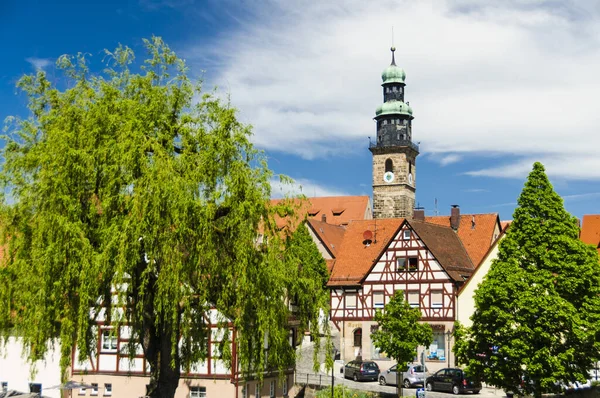 Run Pegnitz Johanniskirche Allemagne — Photo