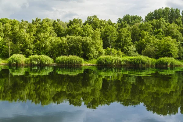 연못과 나무가 아름다운 — 스톡 사진