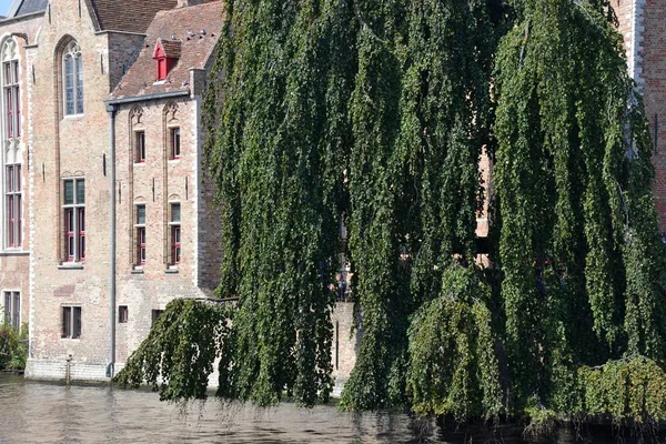 View Bruges — Stock Photo, Image