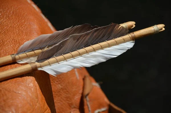 Close Cricket Bat — Stock Photo, Image