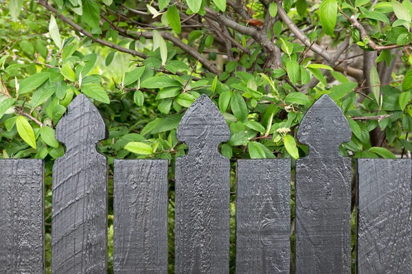 Old Wooden Fence Green Grass — Stock Photo, Image