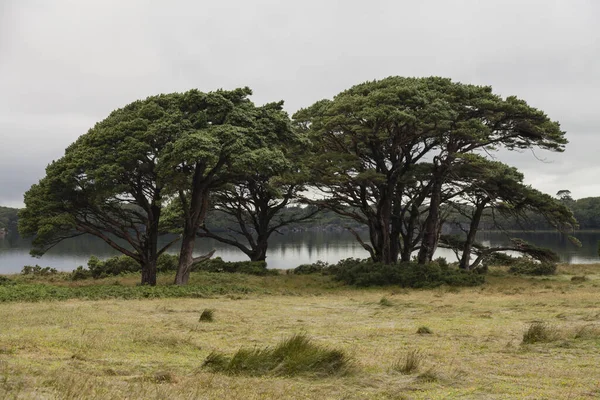 Paisagem Parque Nacional Killarney Irlanda — Fotografia de Stock