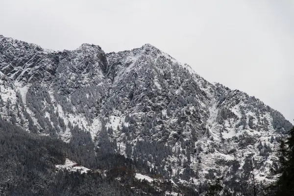 Schöne Aussicht Auf Die Natur — Stockfoto