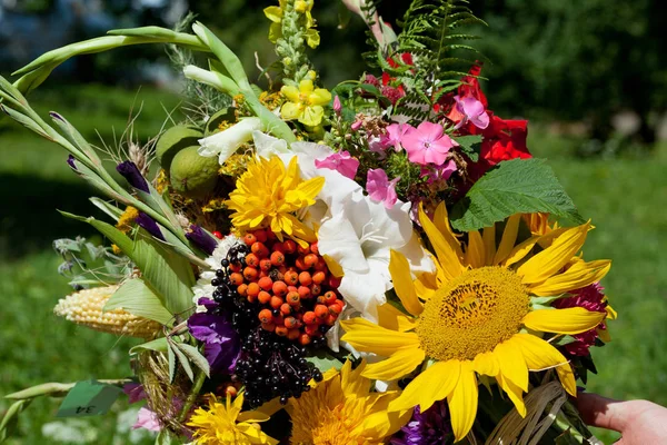 Beaux Bouquets Fleurs Herbes — Photo