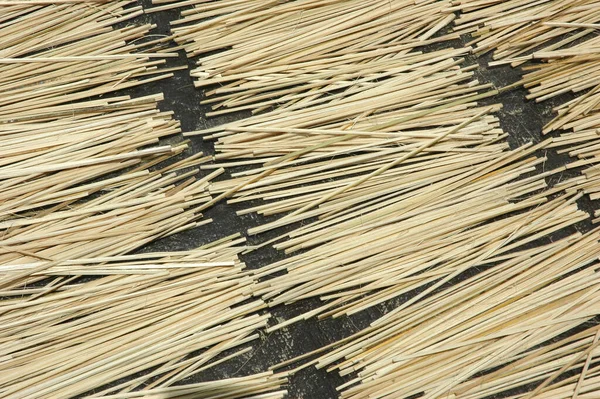 Pieces Bamboo Sticks — Stock Photo, Image