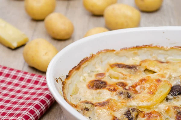 Aardappelgratin Met Kaas Gebakken Een Ovenschaal — Stockfoto