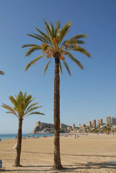 Benidorm Πόλη Στην Ισπανία — Φωτογραφία Αρχείου