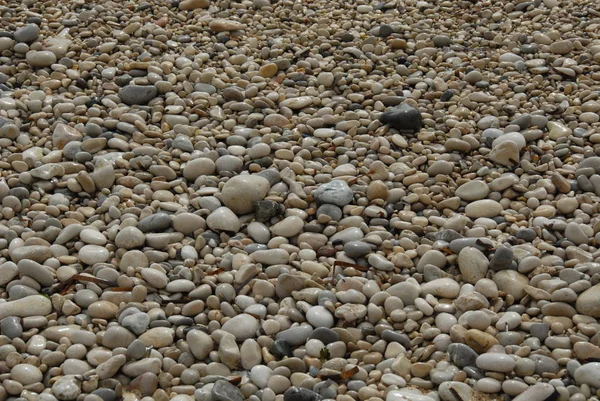 Piedras Junto Mar — Foto de Stock