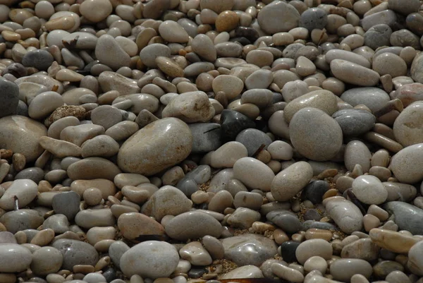 Kamienie Nad Morzem — Zdjęcie stockowe