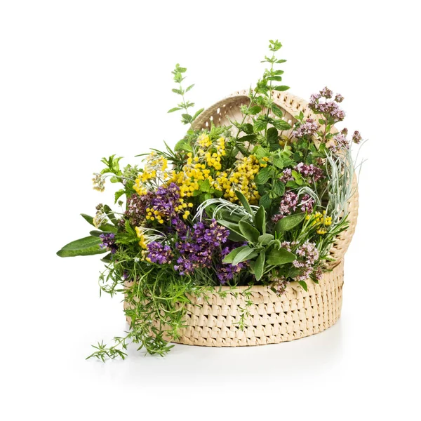 Korb Mit Blühenden Kräutern Auf Weißem Hintergrund — Stockfoto