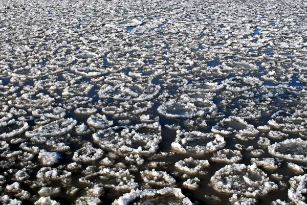 湖上有许多圆形融化的浮冰 — 图库照片