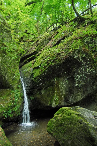 Bela Cachoeira Fundo Natureza — Fotografia de Stock