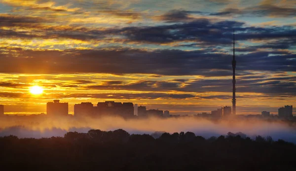 Жовте Сонце Раннього Ранку Осінь Місто Схід Сонця — стокове фото