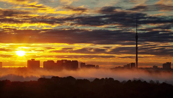 Tôt Matin Jaune Automne Ville Lever Soleil — Photo