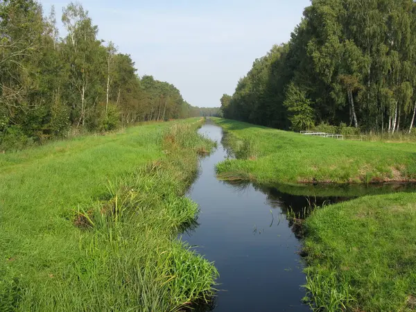 Grön Tysk Polsk Gräns — Stockfoto