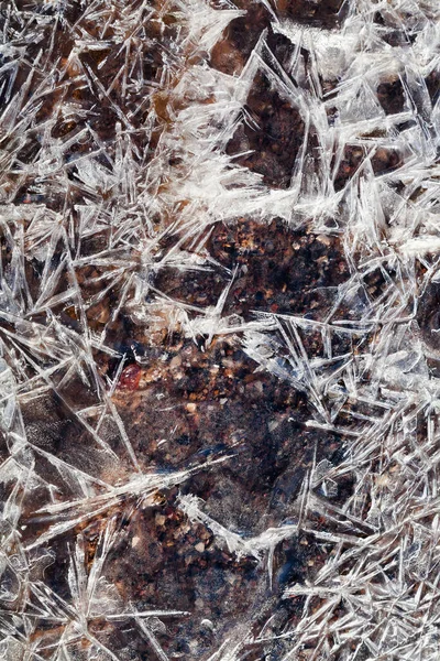 Παγωμένοι Κρύσταλλοι Πάγου Κάτω Από Παγωμένο Ρεύμα Στο Εαρινό Δάσος — Φωτογραφία Αρχείου