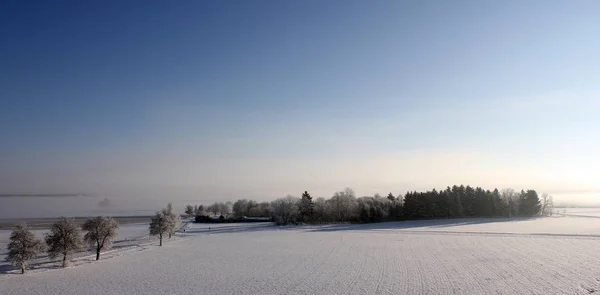 Prachtig Uitzicht Het Winterlandschap — Stockfoto