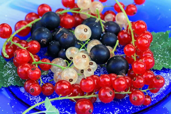 Beeren Nahaufnahme Gesundes Ernährungskonzept — Stockfoto