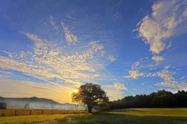 Sole Che Sorge Sopra Haarstrang Splendente Nebbia Moehnetal Albero Quercia — Foto Stock