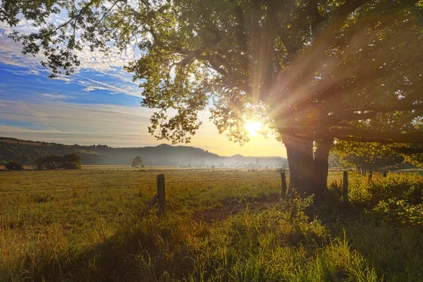 Slunce Vychází Nad Haarstrang Svítí Mlhavé Moehnetal Dub Popředí Umístění — Stock fotografie