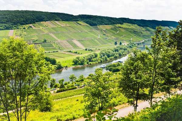 Droga Wina Dolinie Moselle Rzece Mosel Letni Dzień Niemcy — Zdjęcie stockowe