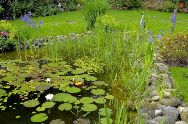 garden pond with lily pads,garden figure on the shore