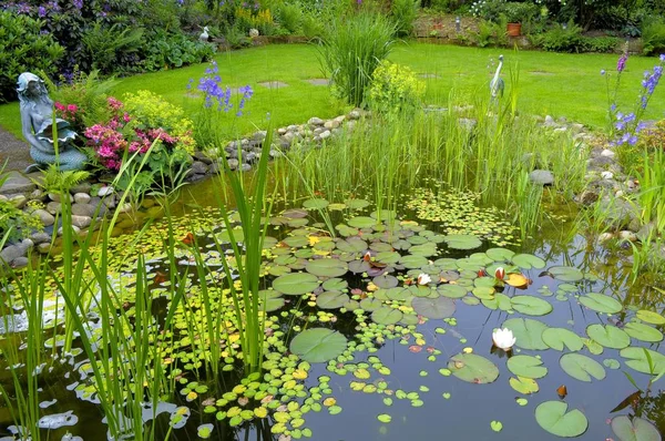 Teich Blumengarten Gartenteich Mit Lilienkissen Gartenfigur Ufer — Stockfoto