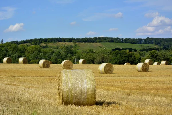 Maulbronn Abgerntetes Cornfield Αχυρόμπαλες — Φωτογραφία Αρχείου