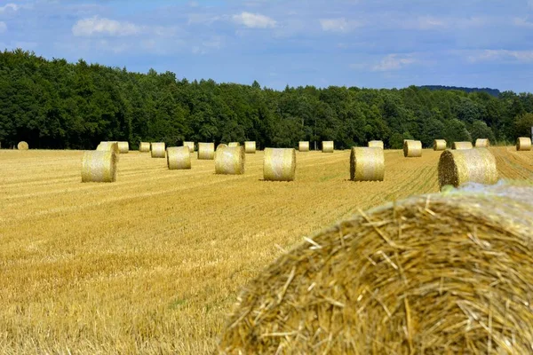 Maulbronn Abgerntetes Cornfield Straw Bales — Stock Photo, Image