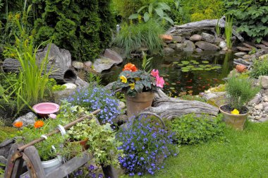 garden pond with goldfish,ornamental garden, clipart