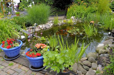 garden pond with goldfish,flower pots,garden decoration clipart