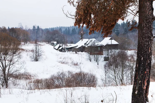 Snow Covered Hamlet Margin Spruce Forest Winter Day — Stock Photo, Image