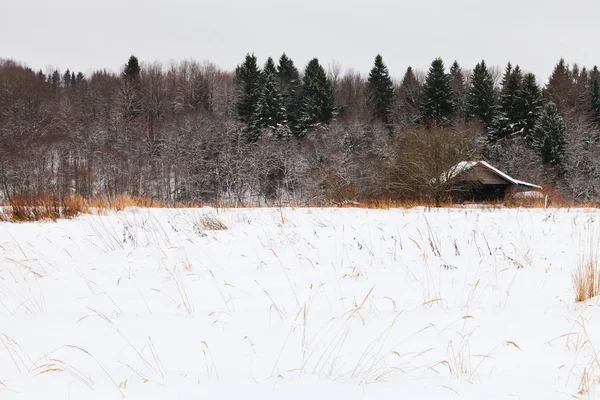 Old House Edge Snowed Forest Cold Winter Day — Stock Photo, Image