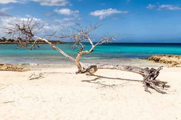 Bellissimo Paesaggio Tropicale Spiaggia — Foto Stock