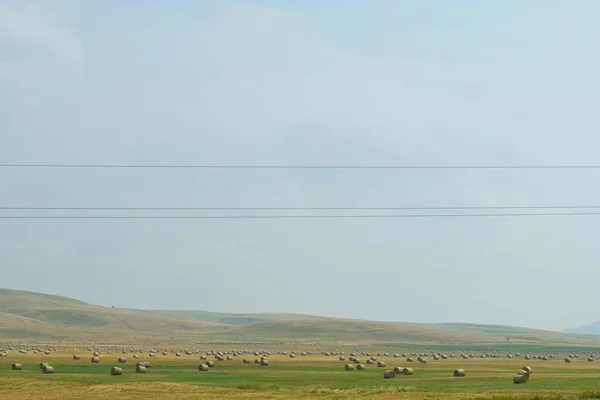 Camino Asfalto Través Del Campo Verde Las Nubes Cielo Azul —  Fotos de Stock