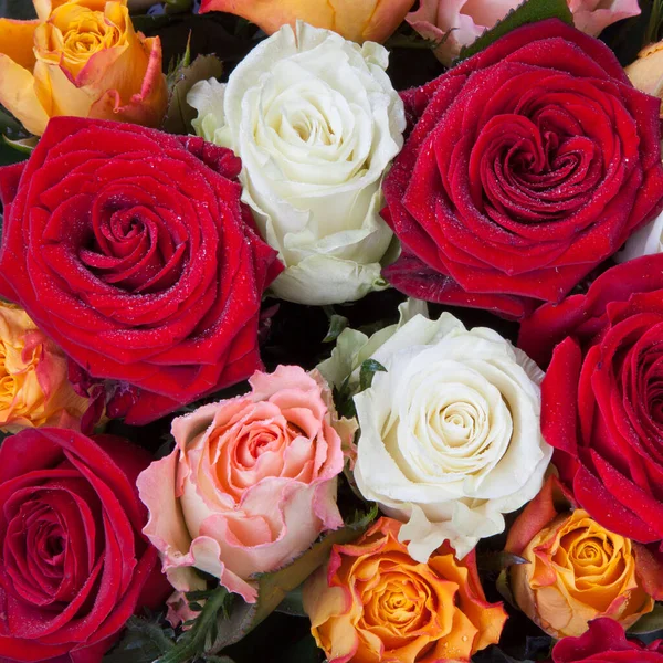 Bando Diferentes Rosas Coloridas Perto — Fotografia de Stock