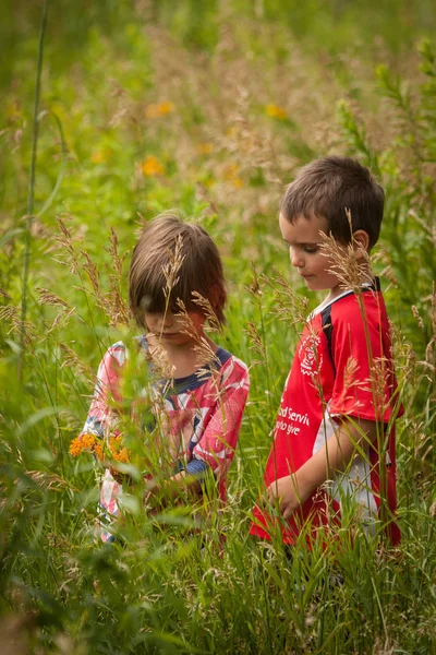 Ein Junge Und Ein Mädchen Stehen Auf Einer Wiese Mit — Stockfoto