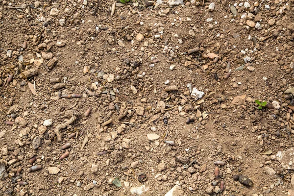 Почва Камни Германии — стоковое фото