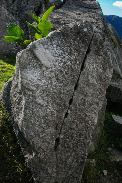 Disparos Asombrosos Mundo Misterioso Pasado — Foto de Stock