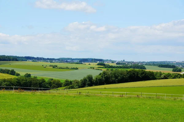 Landleben Selektiver Fokus — Stockfoto