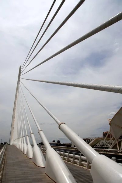 Spanien Valencia Cuidad Las Ciencias — Stockfoto