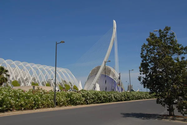 Span Valencia Cuidad Las Ciencias — Stok fotoğraf