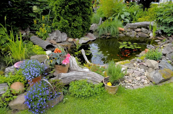 Étang Jardin Avec Poissons Rouges Jardin Ornement — Photo