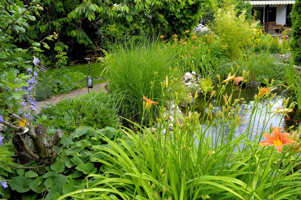有金鱼的花园池塘 有池塘的观赏园 — 图库照片